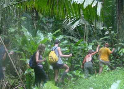 atwt_ecuador_panacocha_djungeltur04.jpg (51793 bytes)