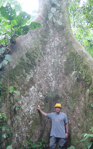atwt_ecuador_panacocha_ollefigtra.jpg (66767 bytes)